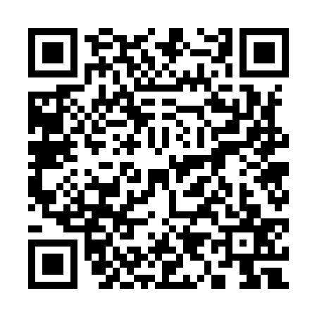 QR code for 3979377