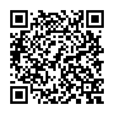 QR code for 398133