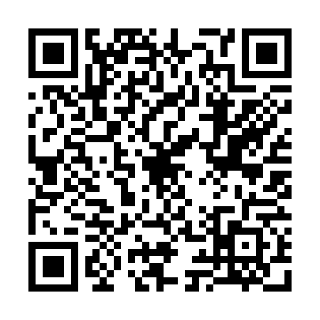 QR code for 3993627