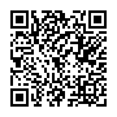 QR code for 3993693