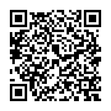QR code for 3996541