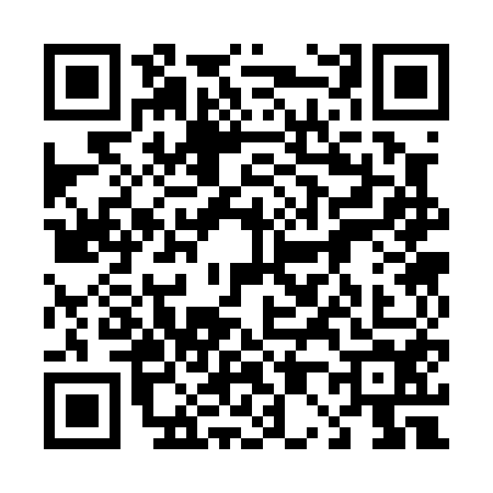 QR code for 4030541