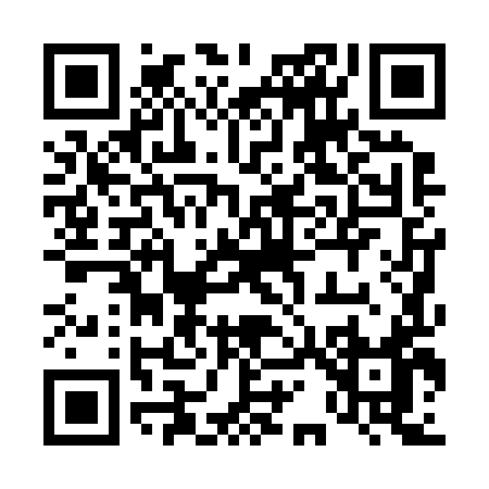 QR code for 41029
