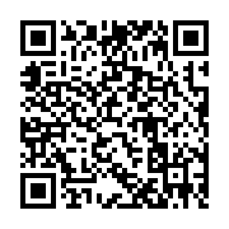 QR code for 41038