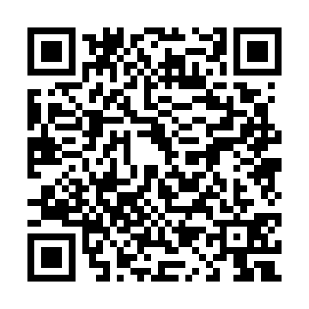 QR code for 4107313
