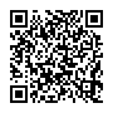 QR code for 411373