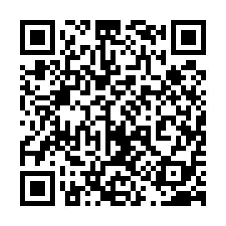 QR code for 411519