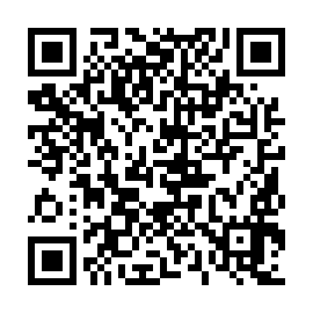 QR code for 411597