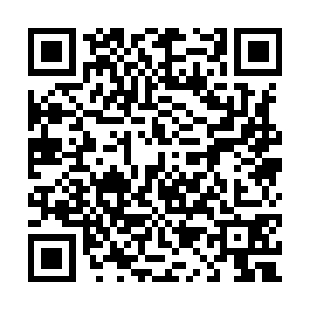 QR code for 4119705