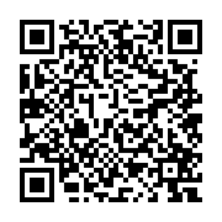 QR code for 4125073