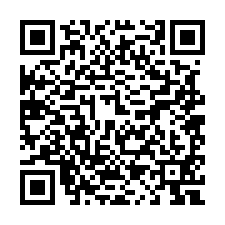 QR code for 4125911
