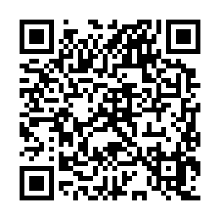 QR code for 41638