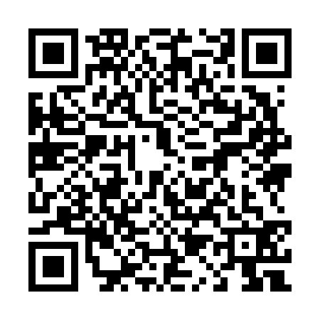 QR code for 4196326