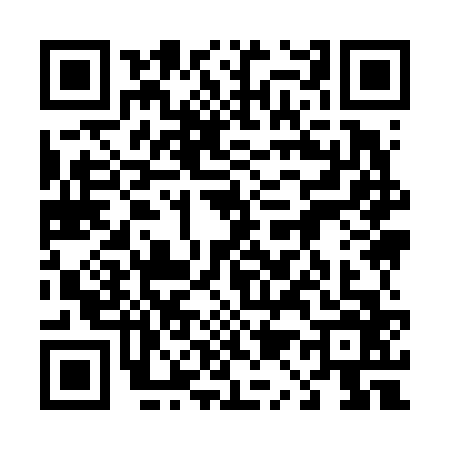 QR code for 4196667