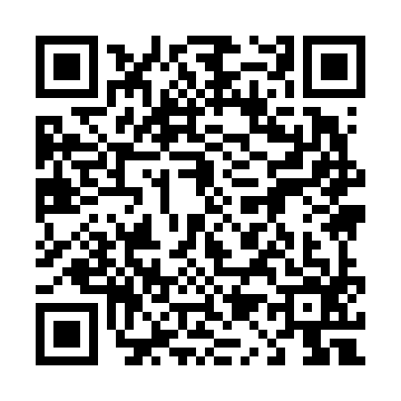 QR code for 4196967