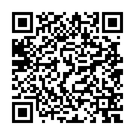 QR code for 4200628