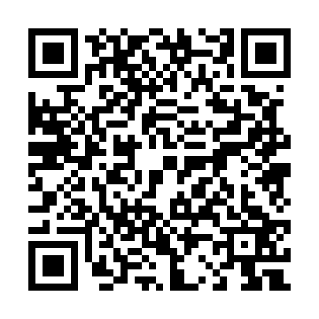 QR code for 4205233