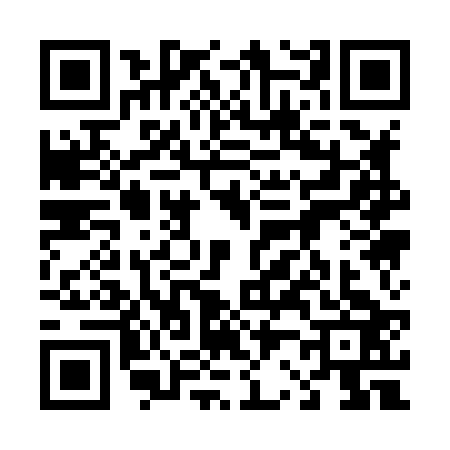 QR code for 4218238