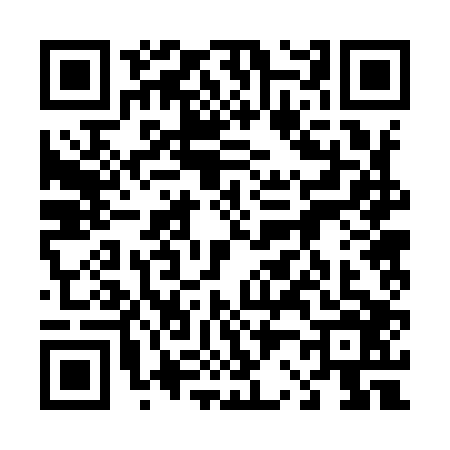 QR code for 4229063