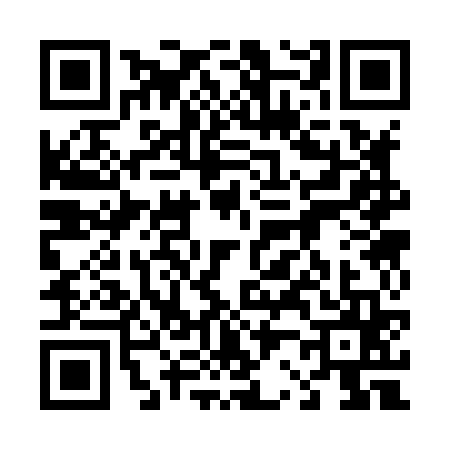 QR code for 4238659