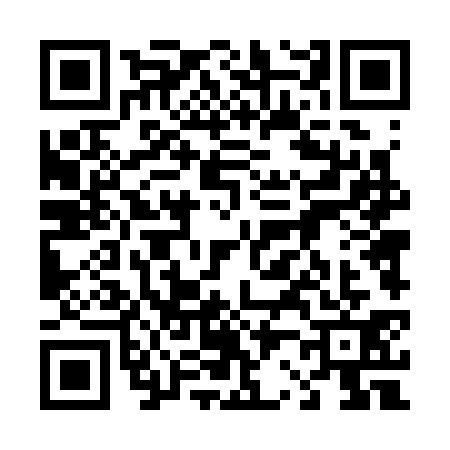 QR code for 4243314