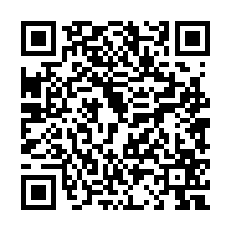 QR code for 4243670