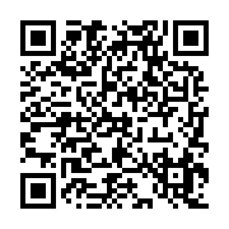 QR code for 42493