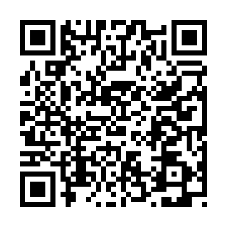QR code for 4250525
