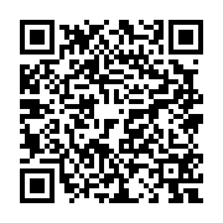 QR code for 4290543