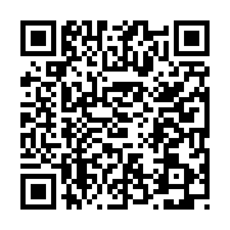 QR code for 4294839