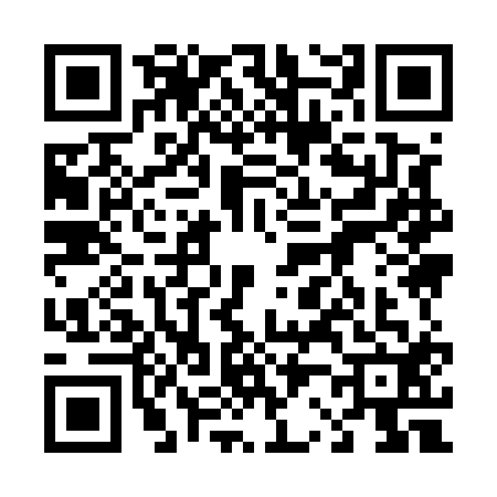 QR code for 4295125