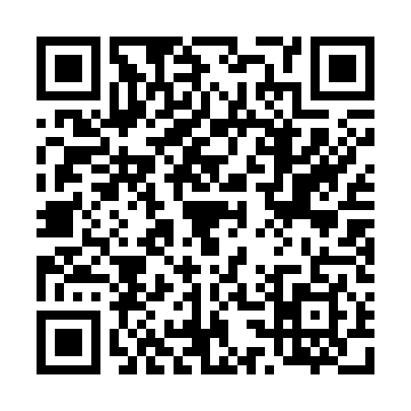 QR code for 4313495