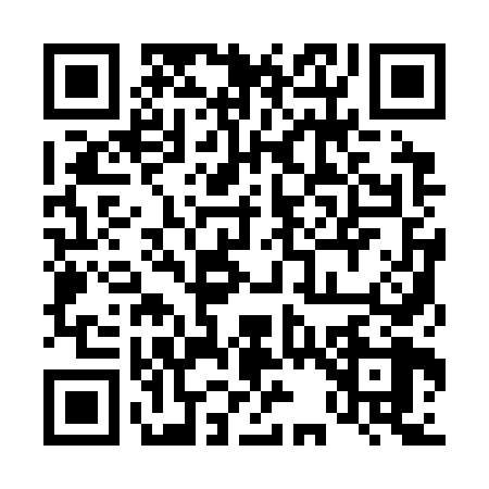 QR code for 4313684