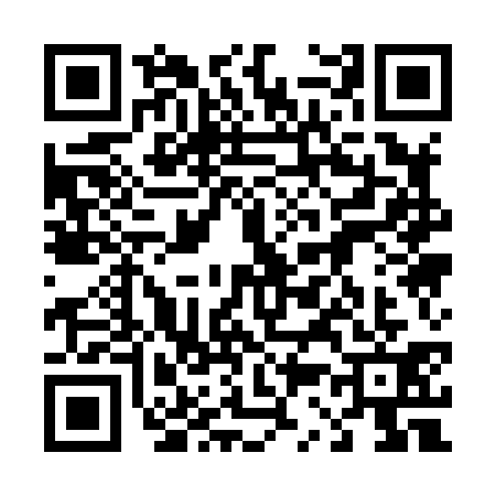 QR code for 4318313