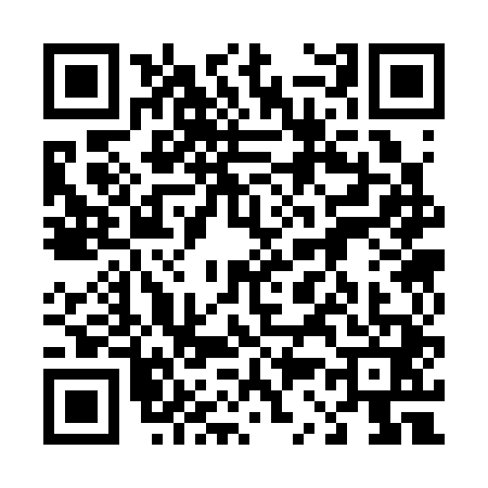 QR code for 4333413