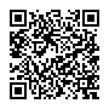 QR code for 4335595