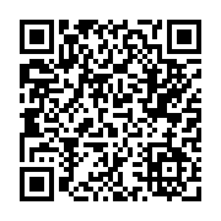QR code for 43411