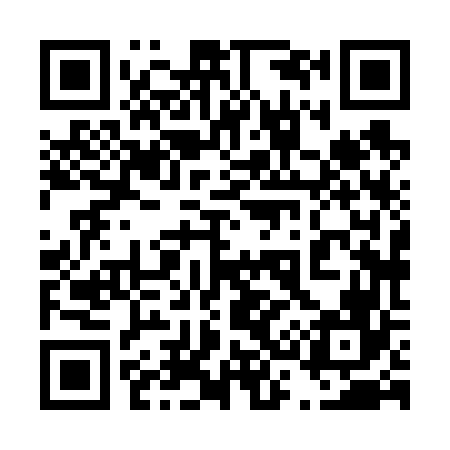 QR code for 438666