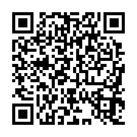 QR code for 4393913