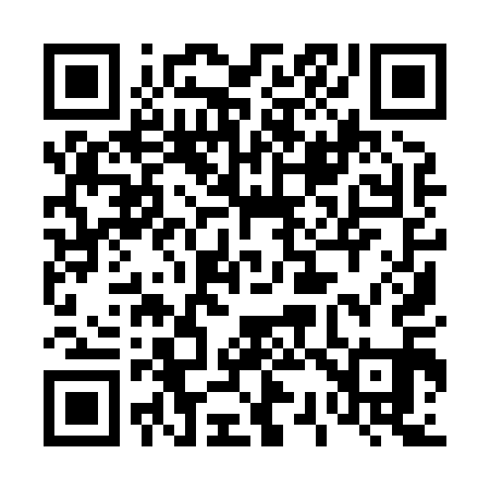 QR code for 439811