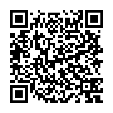QR code for 449538