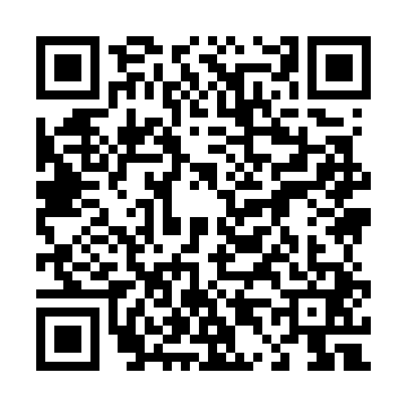 QR code for 4497418