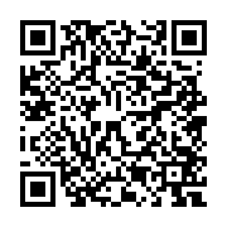 QR code for 4507438