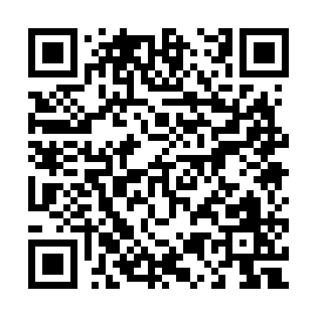 QR code for 45161