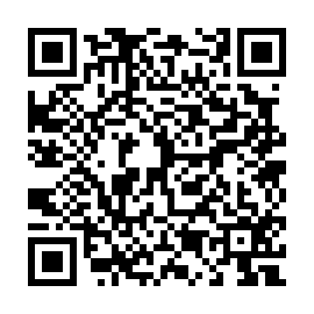 QR code for 4530163
