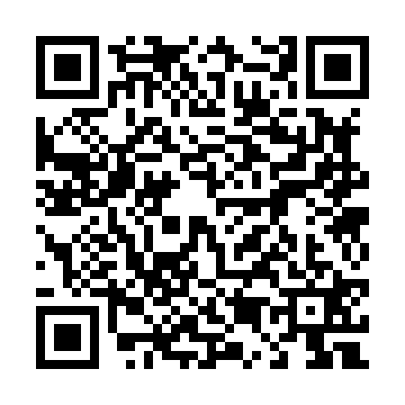 QR code for 4538217