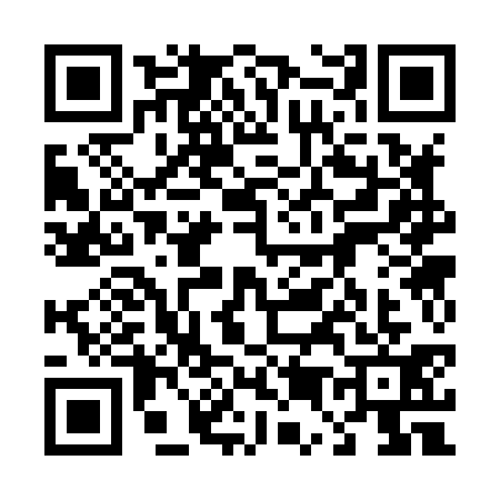 QR code for 4538319