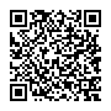 QR code for 4541307