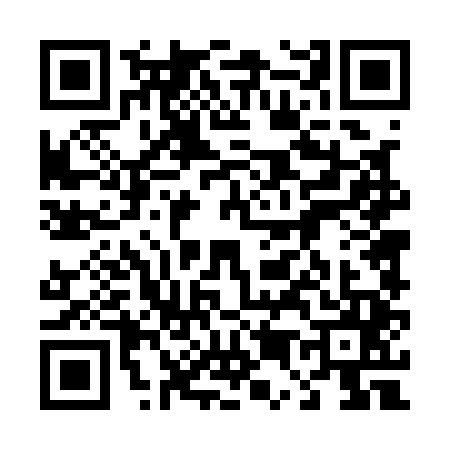 QR code for 4541458