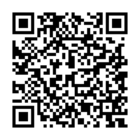 QR code for 4541550